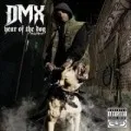 Year of the Dog... Again