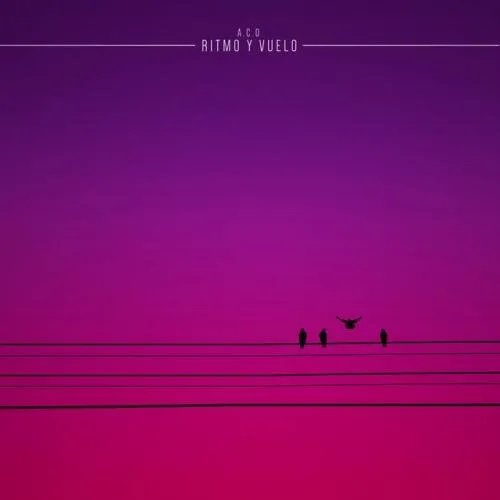 Ritmo y Vuelo