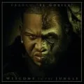 Welcome to the Jungle