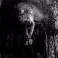 Dark Sky Paradise