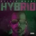 Hybrid