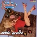 Sonic Groove