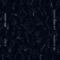Bone Marrow – Single