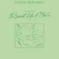 Stevie Wonder's Journey Through The Secret Life Of Plants