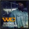Revenge of the Barracuda