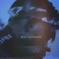 Bleu Vandross
