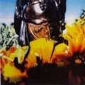 Buddha (Demo)
