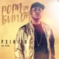 Popa da Bunda