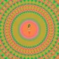 Trip