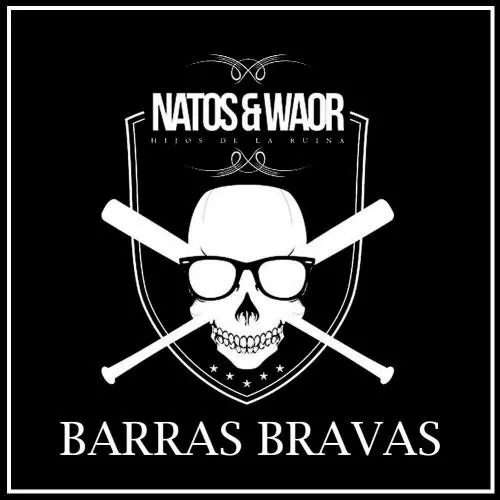 Barras Bravas