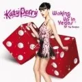 Waking Up in Vegas (The Remixes)