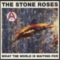 Fools Gold/What the World Is Waiting For [Single]