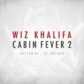 Cabin Fever 2