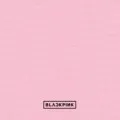 BLACKPINK IN YOUR AREA