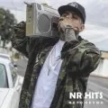 Nr Hits