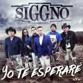 Yo Te Esperare