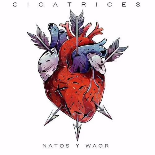 Cicatrices