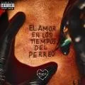 El Amor En Los Tiempos Del Perreo