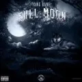 Full Moon