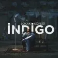 Sokak Köpeği