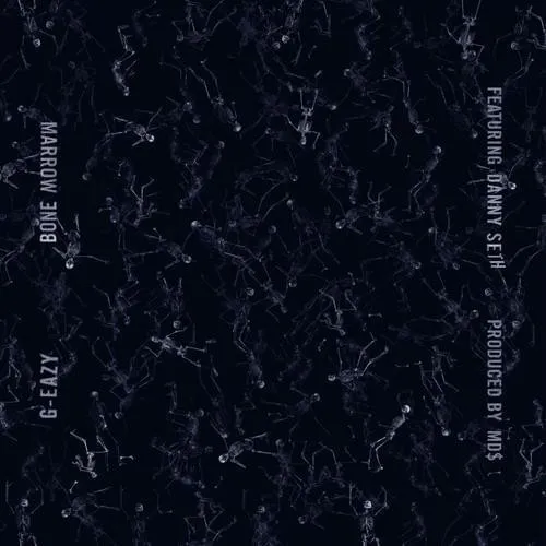 Bone Marrow – Single