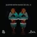 Quarter Water Raised Me Vol. II
