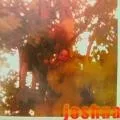 Joshua