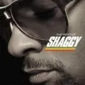 The Best of Shaggy