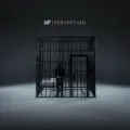 Perception