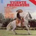 Mi amigo el tordillo