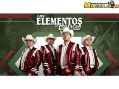 Los Elementos De Culiacán
