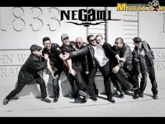 Negami