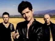 The Script