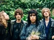 The Struts