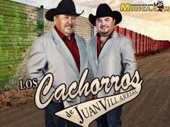Los Cachorros de Juan Villarreal