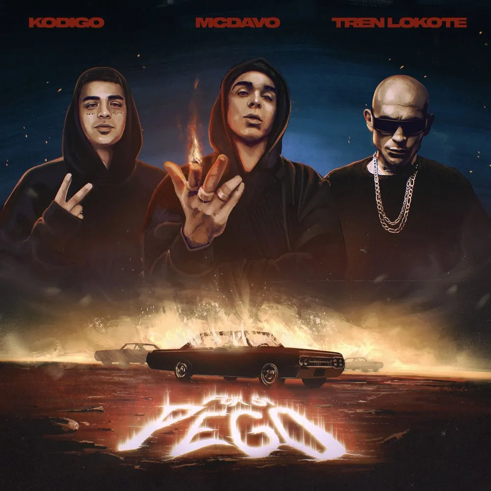 Kodigo