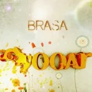 Brasa