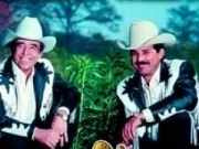 Miguel y Miguel