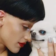 Arca