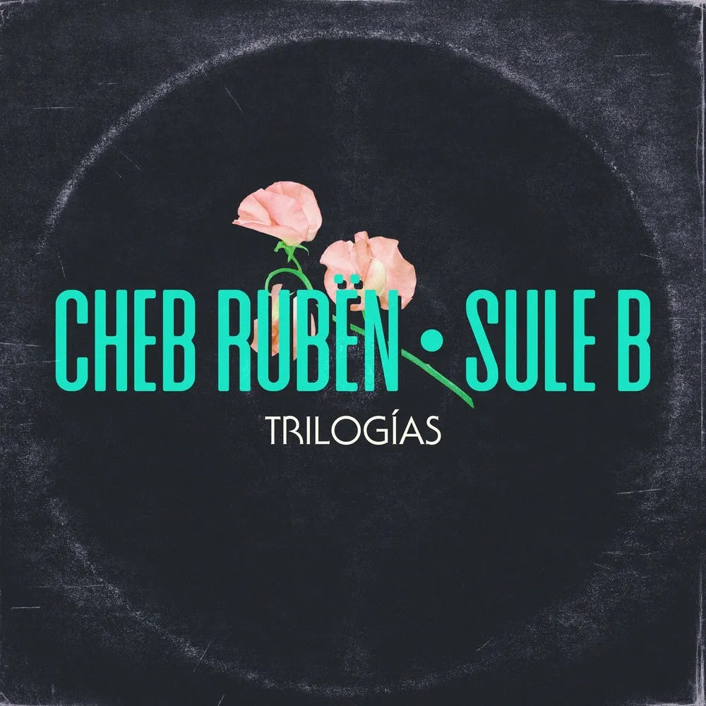 Sule B