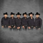 Grupo Vision
